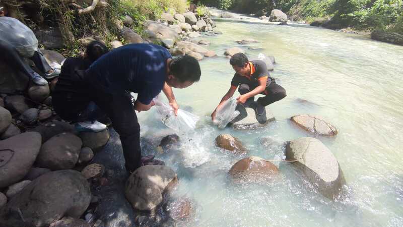 Program Ketahanan Pangan - Peneberan Benih Ikan